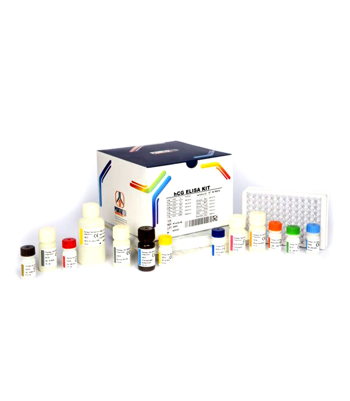 HCG Pishtaz کیت الایزا βhCG پیشتاز طب 96 تستی ELISA PISHTAZ Teb β Human Chorionic Gonadotropin (βhCG) 96 test - تصویر 1