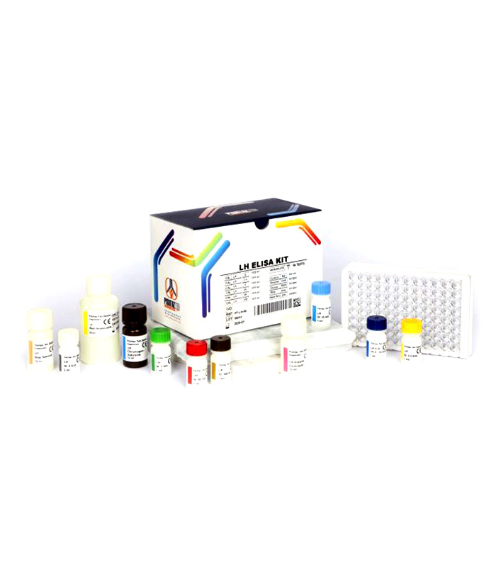 LH Pishtaz کیت الایزا هورمون لوتئینی (LH) پیشتاز طب 96 تستی ELISA PISHTAZ Teb Luteinizing Hormone (LH) 96 test - تصویر 1