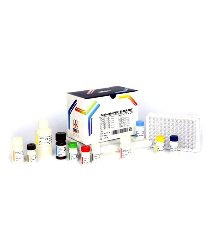 PRL Pishtaz کیت الایزا پرولاکتین پیشتاز طب 96 تستی ELISA PISHTAZ Teb Prolactin (PRL) 96 test - تصویر 1