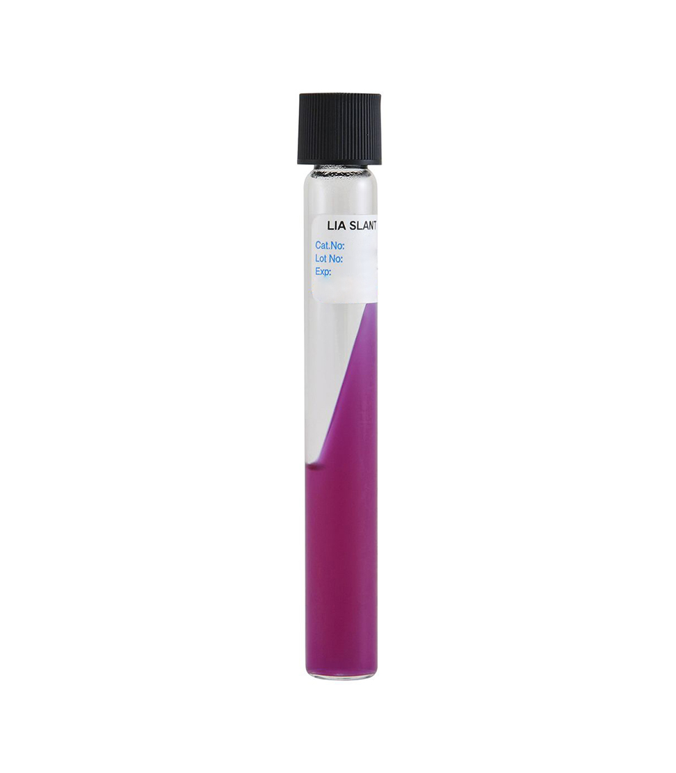 LIA محیط لایزین آیرون آگار زیست رویش Zist Royesh Lysine iron agar (LIA) 16x100mm - تصویر 1