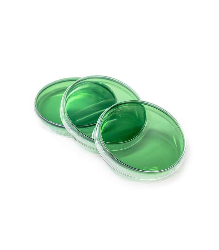 TCBS plate محیط TCBS آگار تک خانه زیست رویش Zist Royesh Thiosulfate Citrate Bile Salt Sucrose Agar 8cm - تصویر 1